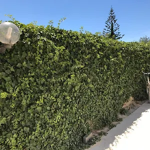 Casa vacanze Zibi&bibbo, Marsala
